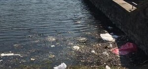 Фотофакт: на Теремках озеро с дикими утками превращают в мусорную свалку