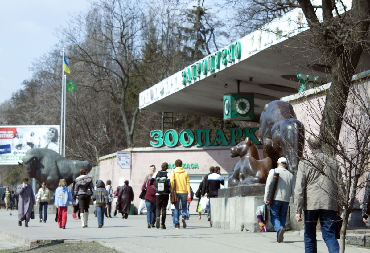 Новость - События - Второй вход и новые локации: что изменится в киевском зоопарке до конца года