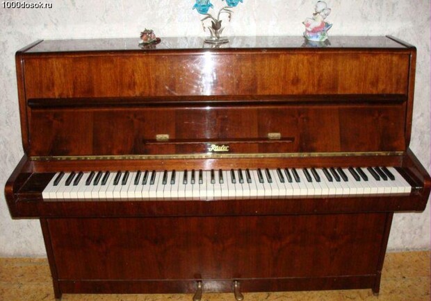 По самым скромным подсчетам, только с начала ноября киевляне пристроили около десяти пианино

Фото с сайта dogsik.ucoz.ru
