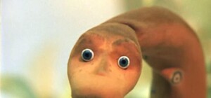 На Академгородке нашли сбежавшего питона: где он был