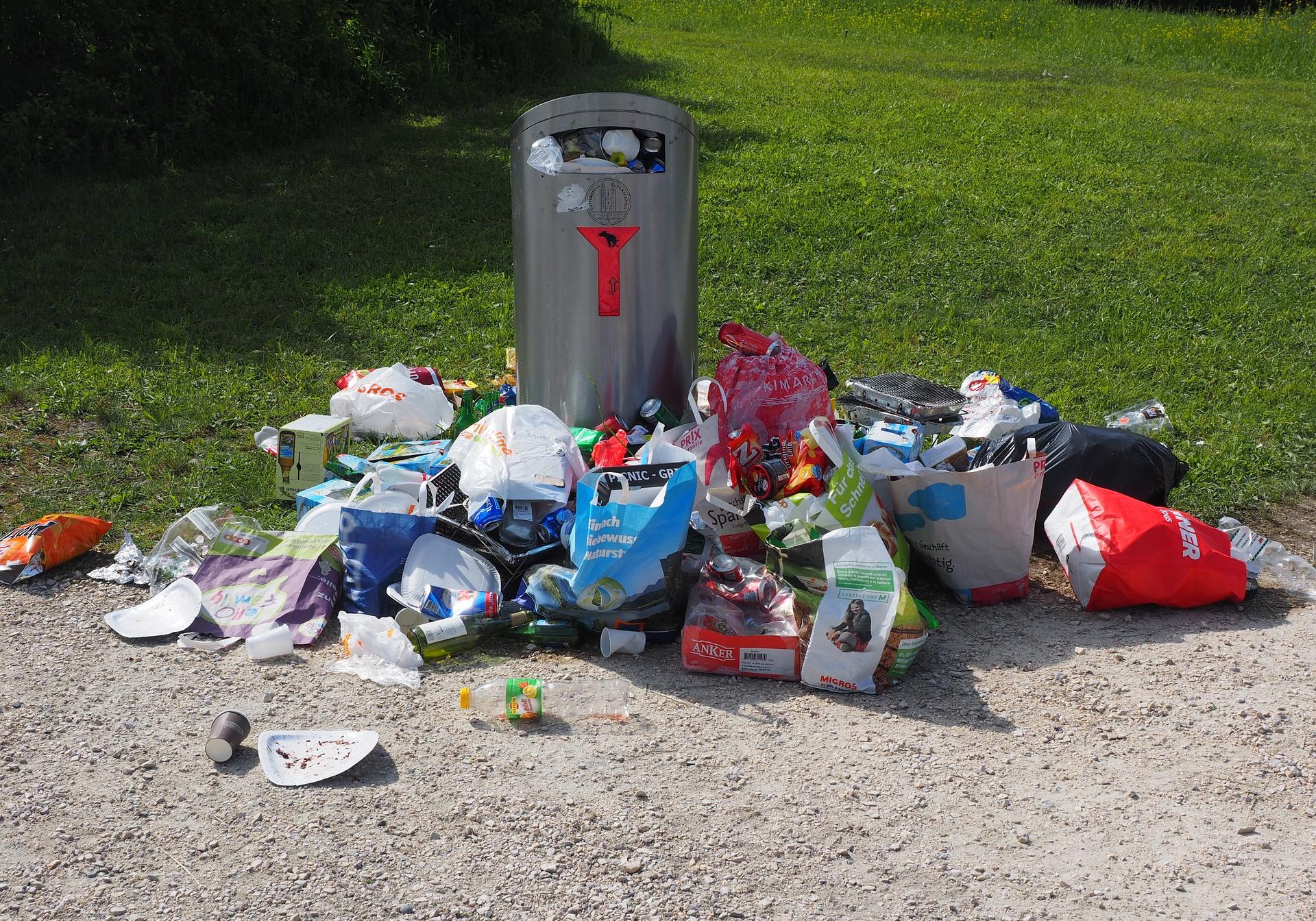 В Киеве хотят увеличить штраф за выброшенный на землю мусор. Фото: pixabay.com