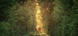 Едь на автобусе: из-за аварии перестали ходить трамваи в Пущу-Водицу