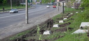 В Киеве прошла стихийная акция против вырубки деревьев под застройку Протасова Яра