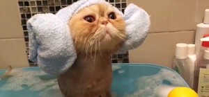 Ждали, ждали и дождались: в двух районах Киева начались гидравлические испытания. Адреса, где не будет горячей воды