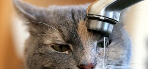 Ищи другой: на Оболони из-за ремонта закрыли шесть бюветов