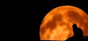 В Крыму произошел крупный энергосбой: десятки тысяч людей остались без света