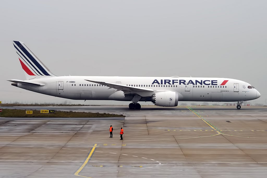 Новость - События - Обойдешься без Парижа: французская авиакомпания временно прекратит полеты в Украину