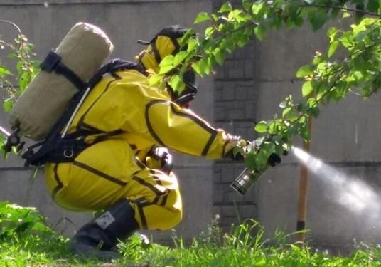 Спасатели КАРС ликвидировали рой пчел возле детсада 