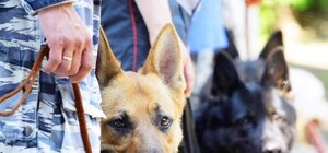 Сообщение об угрозе взрыва: в Запорожье заминировали ВУЗ