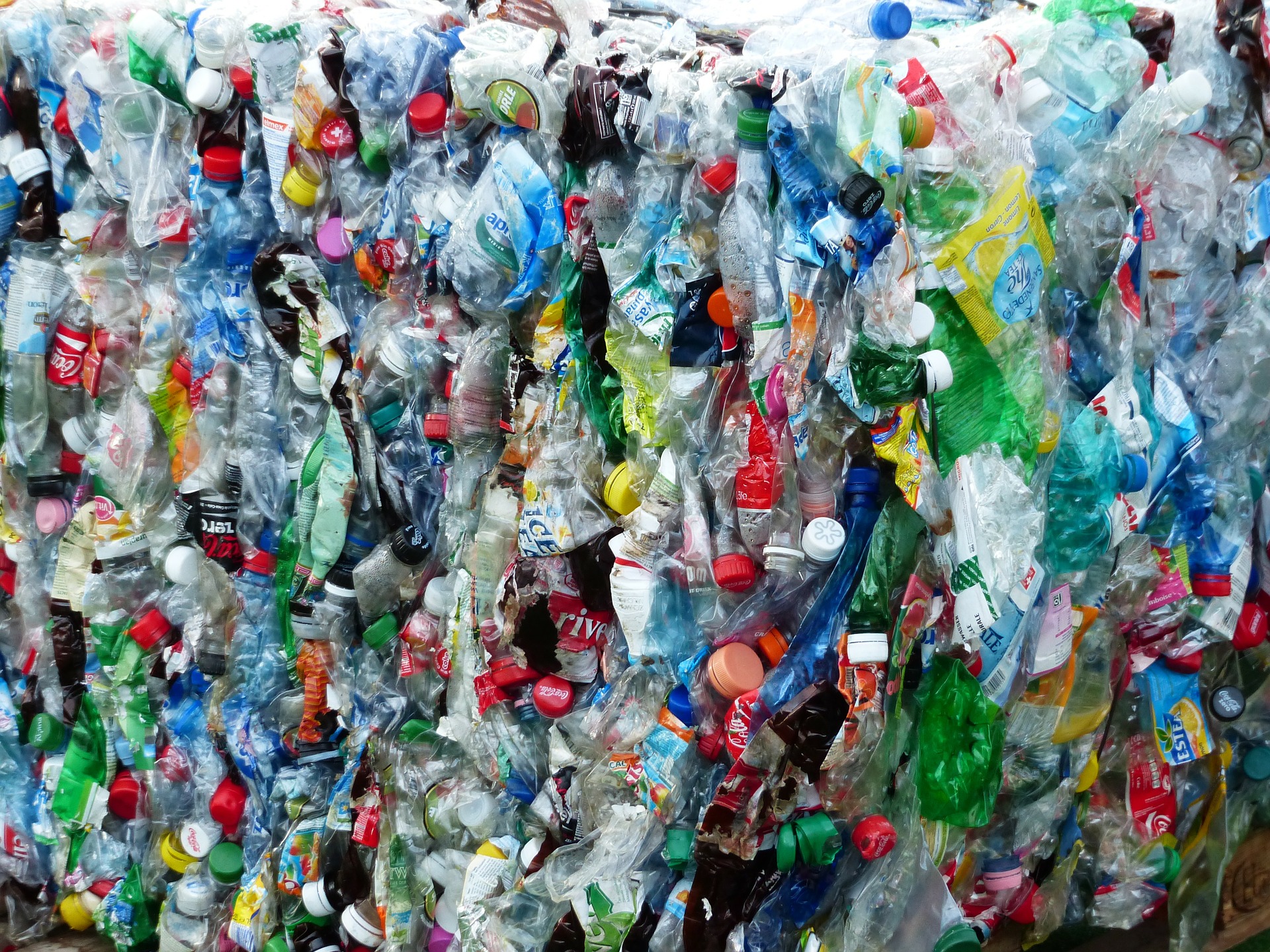 В Киеве хотят построить завод, где будут сортировать и перерабатывать мусор / pixabay.com