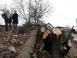 Если деревья вырубят, дома частного сектора сползут на Краснозвездный проспект.
Фото с сайта kp.ua