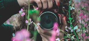 Рідкісні фото: на Львівщині заквітла унікальна дика орхідея