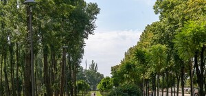 Полюбуйся: на Нивках открыли капитально отреставрированный парк 