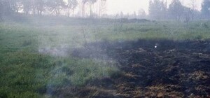 Под Киевом опять горят торфяники – летнее удушье повторяется?