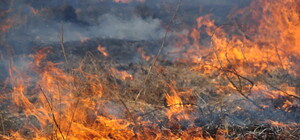 Промчались несколько пожарных машин: что горело на Слободке