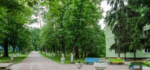 Готовь ребенка: в Пуще-Водице заработает бесплатный лагерь для подростков