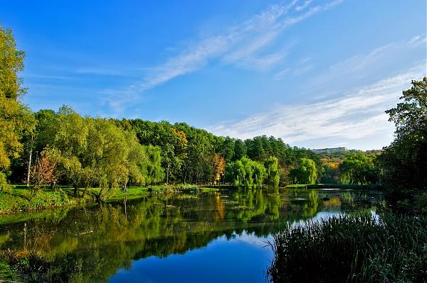 Новость - События - В Голосеевском парке озера окрасились в ржавый цвет: что случилось