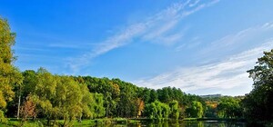 В Голосеевском парке озера окрасились в ржавый цвет: что случилось