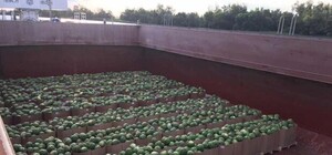 Есть дата: стало известно, когда в Киев из Херсона отправят баржу с арбузами