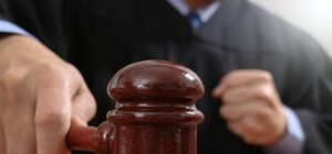 Дело сделано: активисты выиграли суд у застройщика Протасового Яра