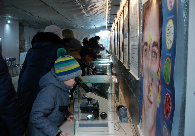 Афиша - Выставки - Зоопарк под микроскопом