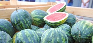 Уже в пути: в Киев из Херсонской области идет баржа с арбузами и дынями