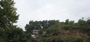 Скрыто за склоном: возле Южного вокзала притаилось Русалье озеро