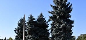 Все достало: в Измаиле дворник повесился возле мэрии