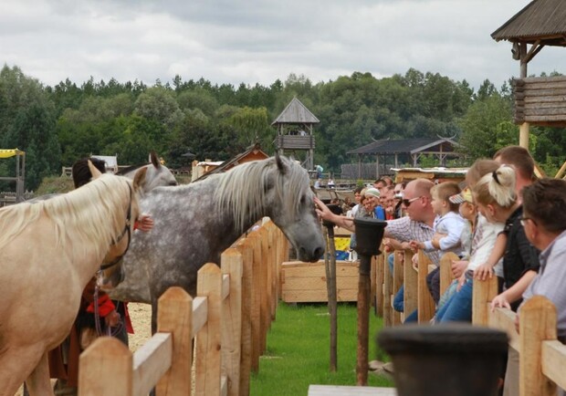 Афиша - Фестивали - Под Киевом покажут уникальных лошадей