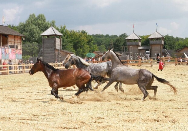 Афиша - Фестивали - Турнир конных лучников и конное шоу