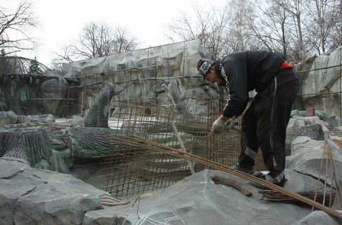 Новый директор столичного зоопарка активно реконструирует все, что видит.

Фото с сайта segodnya.ua 