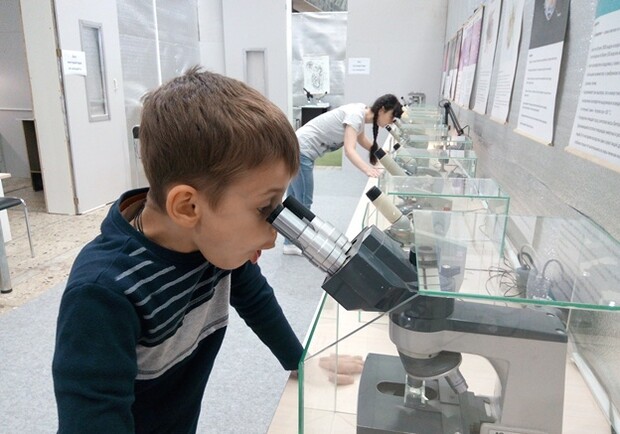 Афиша - Выставки - Зоопарк под микроскопом