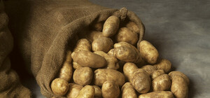 Когда подешевеет: почему в Харькове килограмм картошки стоит 17-20 гривен