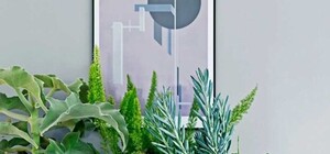 Не пропусти: киевлян зовут на выставку кактусов и экзотических растений