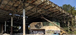 Фантастика: экскаватор виртуозно пытался снять барельеф при сносе летнего кинотеатра (видео)