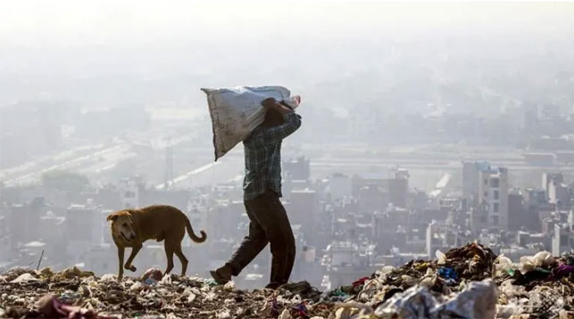 Новость - События - Разгребли: на Нивках коммунальщики убрали стихийную мусорную свалку