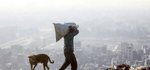 Разгребли: на Нивках коммунальщики убрали стихийную мусорную свалку