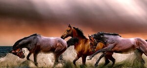 Лицо хирурги собирали по осколкам: в Крыму лошадь едва не забила насмерть девочку