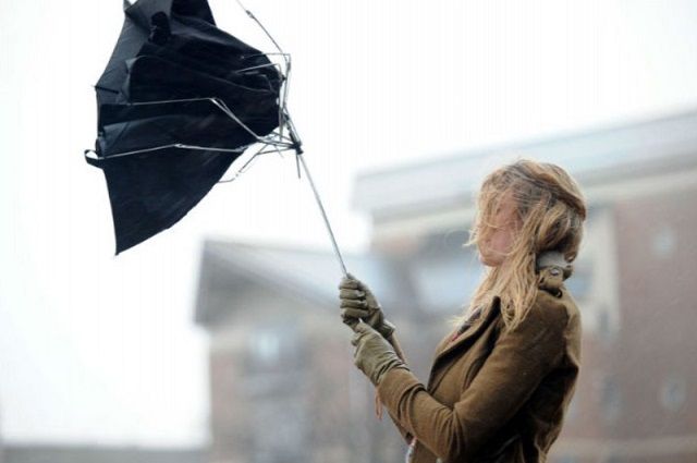 Новость - События - Закрывай окна: на Киев надвигается ураганный ветер