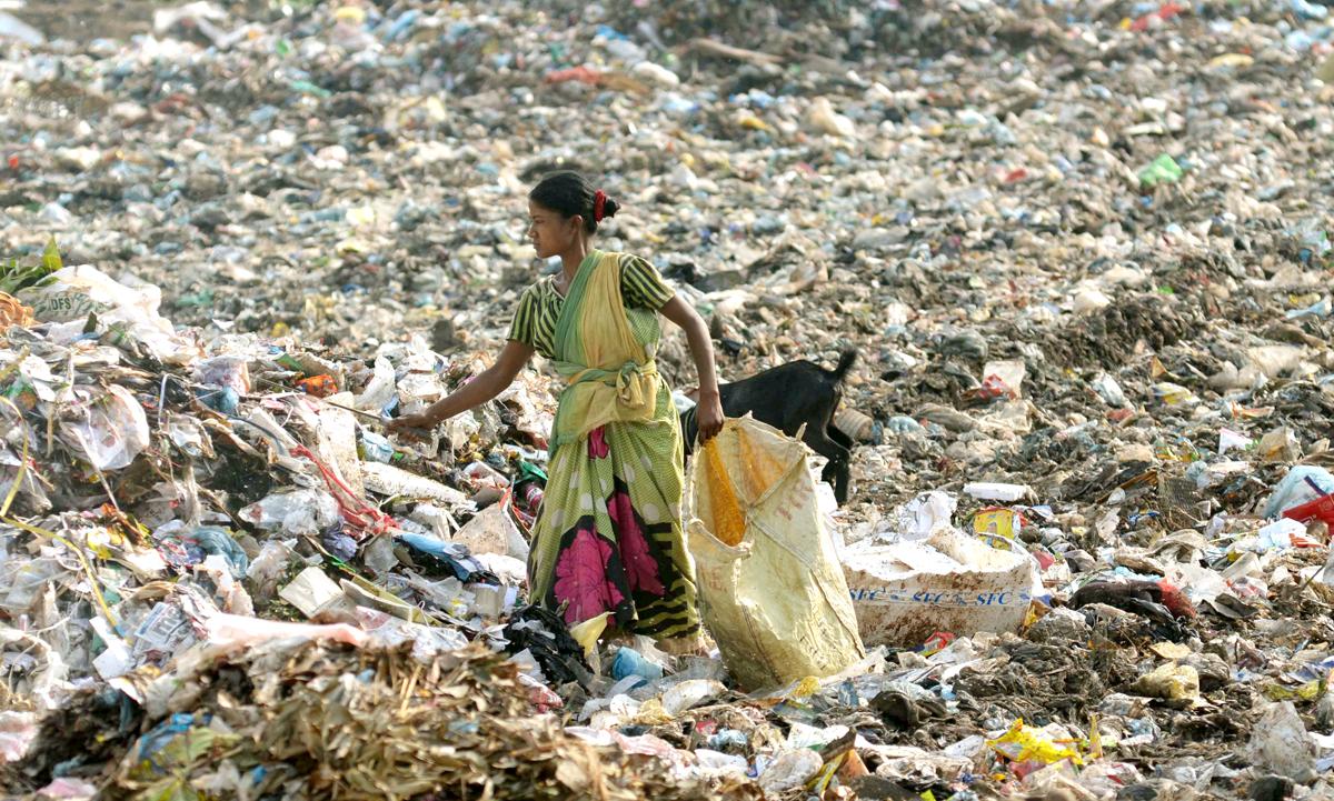 Новость - События - Разгребли: на Позняках коммунальщики и активисты почистили от мусора озеро