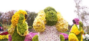 В Одессе покажут гигантские скульптуры из хризантем