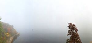 Полюбуйся: как выглядит окутанный в туман Хортицкий район (фото)