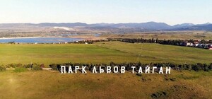 Что творится: парку 