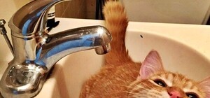 Это надолго: в Симферополе внезапно отключили воду