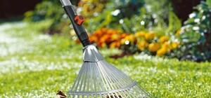 Не пропусти: киевлян зовут в парк 