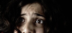 Какой ужас: в Запорожье собаки нашли человеческую голову (фото 18+)