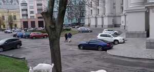Получи ответ: почему в центре Киева возле МИДа постоянно пасутся козы