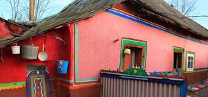 Казкові кадри: пенсіонерка перетворила своє подвір'я на музей