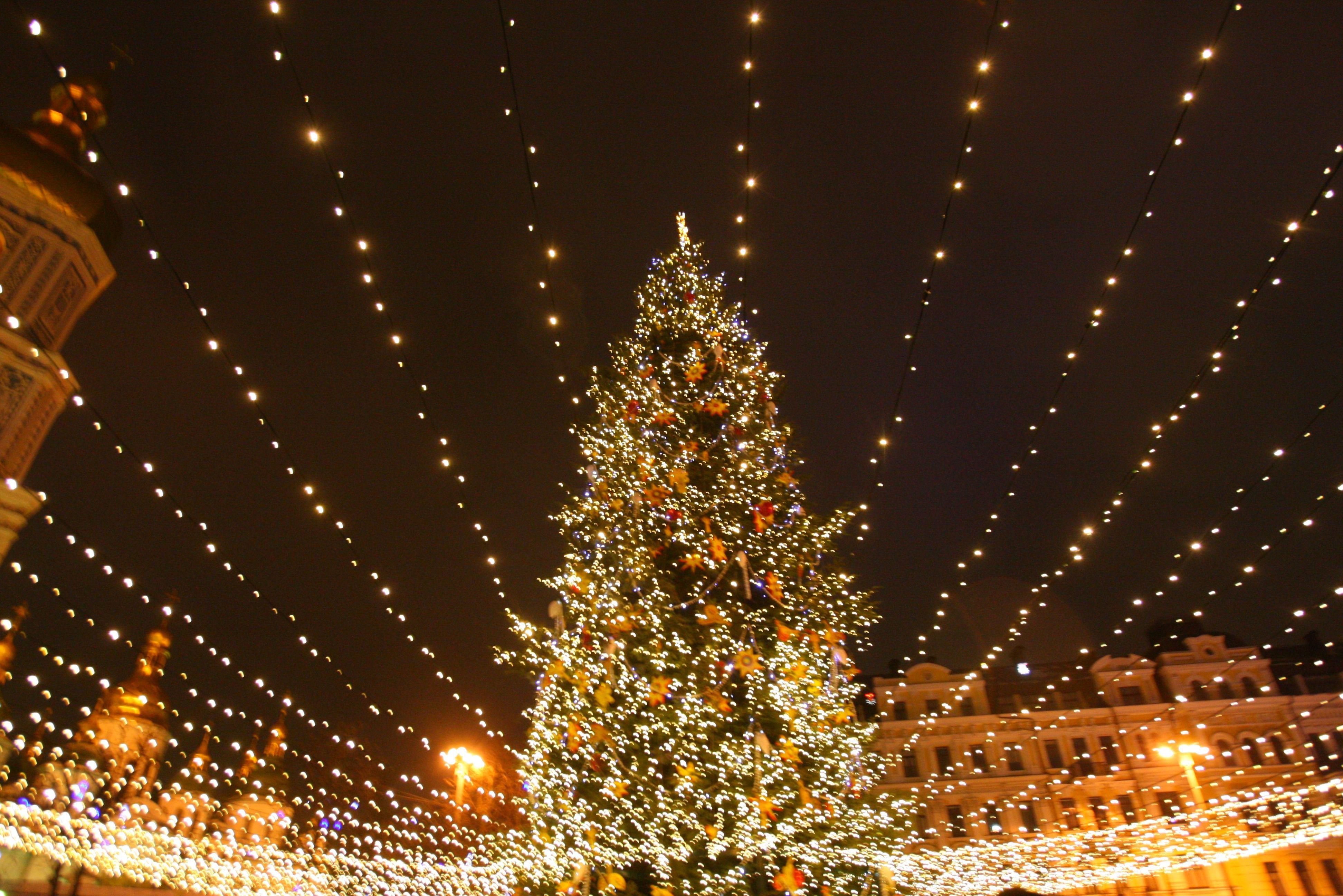 Новость - События - Главная красавица: сколько стоят украшения для елки на Софийской площади