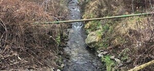 Пытаются спасти: на Сырце решают судьбу местной реки